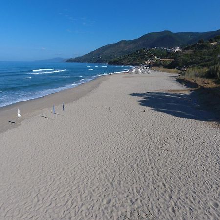Residence Le Palme - Appartamenti Sul Mare - Spiaggia Tra Palinuro E Caprioli Pisciotta Buitenkant foto